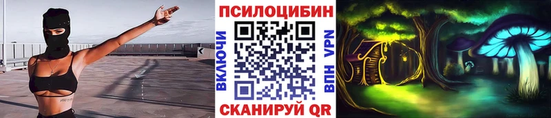 Галлюциногенные грибы GOLDEN TEACHER  магазин продажи   кракен онион  Железногорск 
